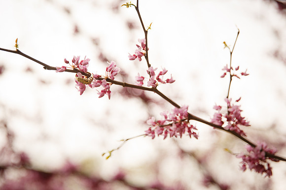 _W3C0897
