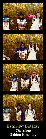 106073-strip