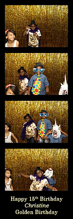 106113-strip