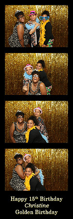 106290-strip