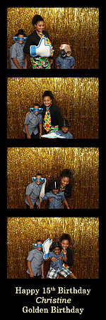 106306-strip