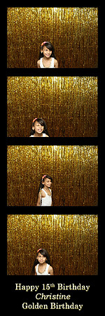 106354-strip