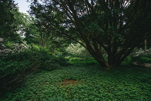 _51I0005