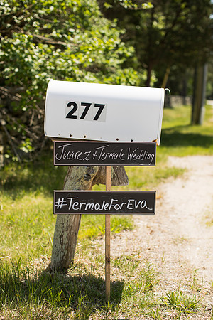 daneva-1
