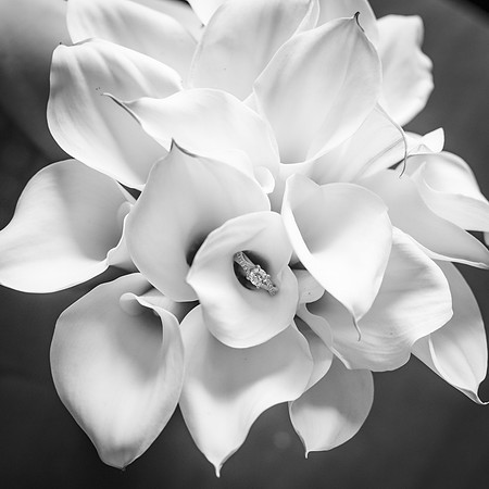 _W3C9541