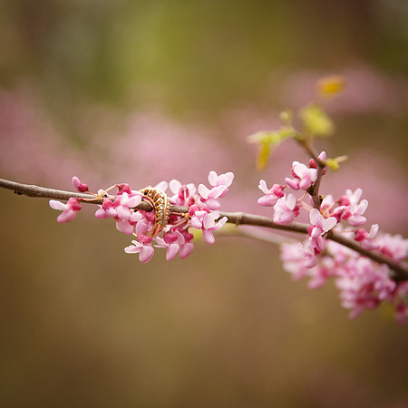 _W3C0908