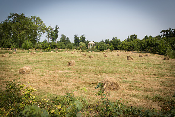 20130713-_W3C3851