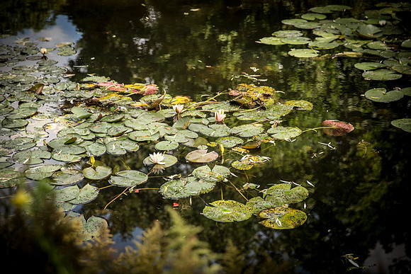20130803-_W3C5898