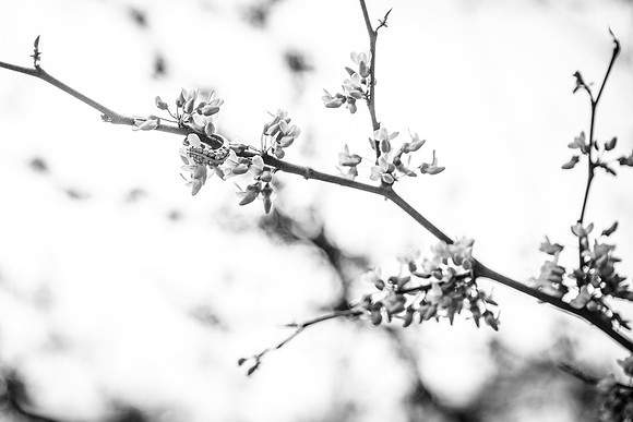_W3C0885