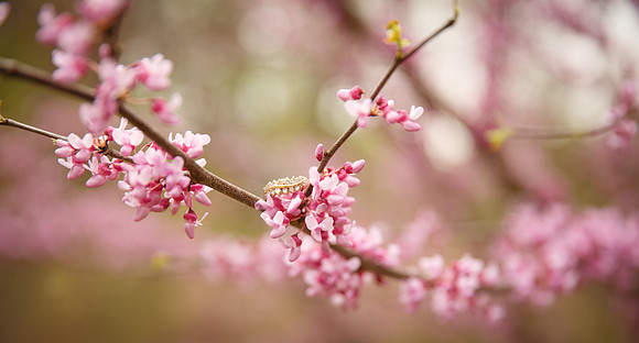 _W3C0918