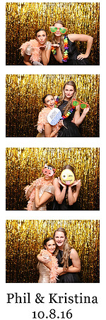 101065-strip