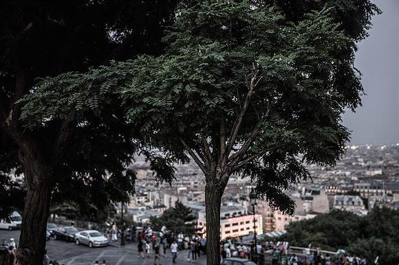 20130709-_W3C3281